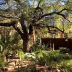 Gardening in the Southwest