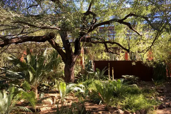 Gardening in the Southwest