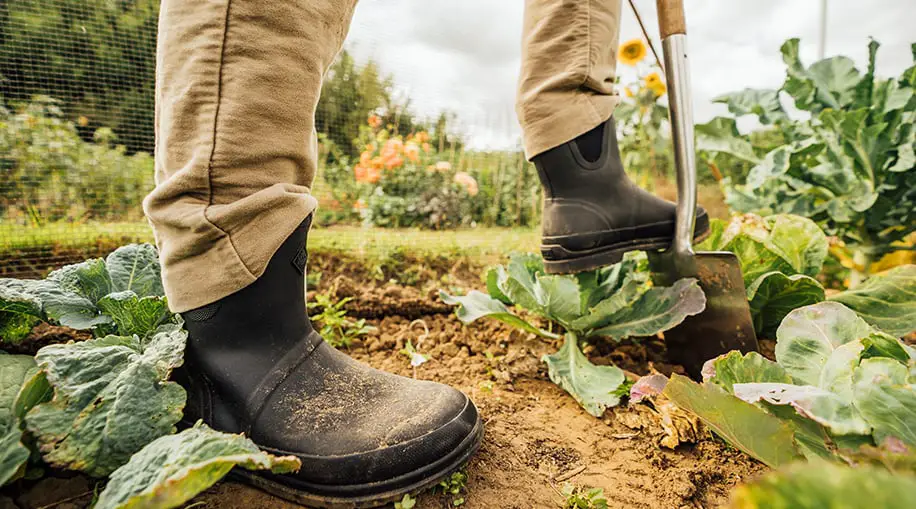 Gardening Shoes for Men