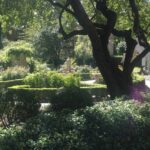 Gardens in the Bible