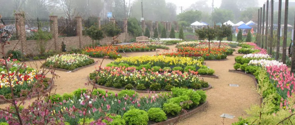 Gardens in Winston Salem
