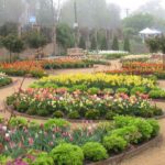 Gardens in Winston Salem