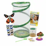 Gifts for Butterfly Gardens