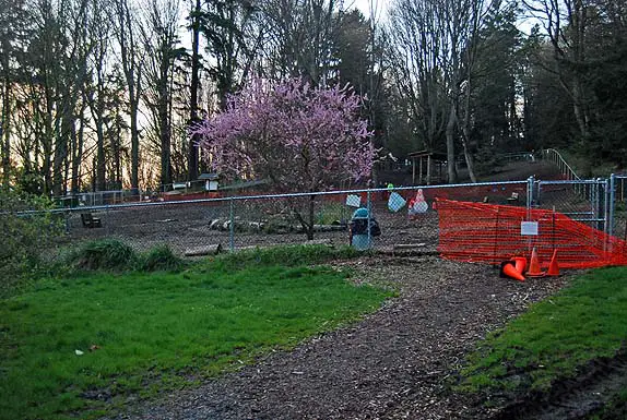 Golden Gardens Dog Park Seattle