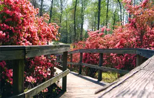 Happy Hollow Gardens Park