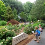 Hatcher Gardens Spartanburg Sc