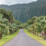 Hawaii Botanical Gardens Oahu