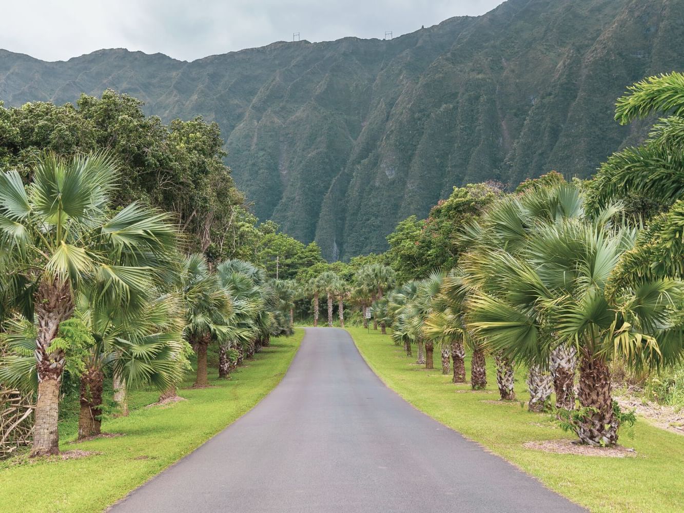 Hawaii Botanical Gardens Oahu
