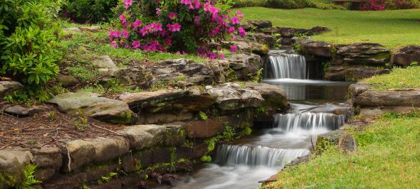 Hodges Gardens State Park Louisiana
