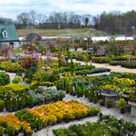 Homestead Gardens in Davidsonville Maryland