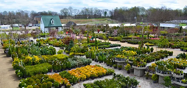 Homestead Gardens in Davidsonville Maryland