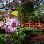 Irish National Stud And Gardens