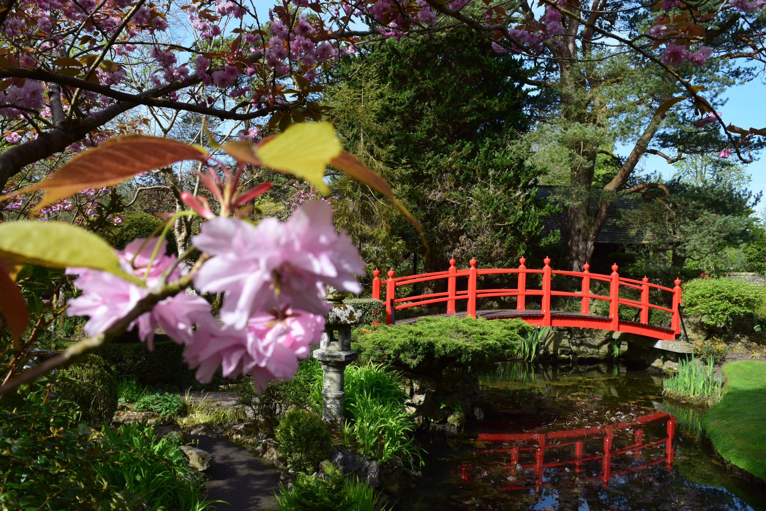 Irish National Stud And Gardens