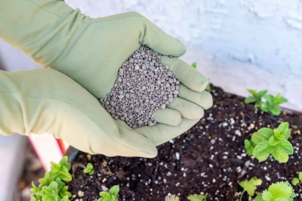 Is Calcium Carbonate Good for Gardens