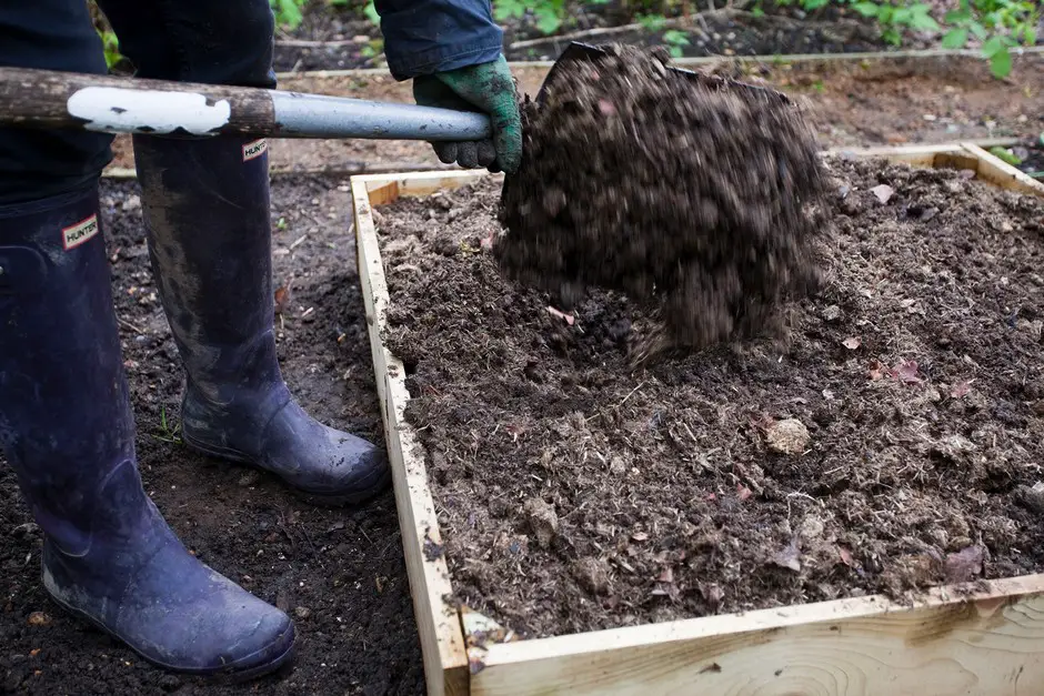 Is Horse Manure Good for Gardens