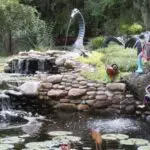 Kanapaha Botanical Gardens Gainesville Fl