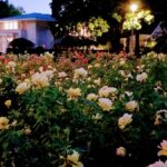 Ladd Circle Park & Rose Gardens