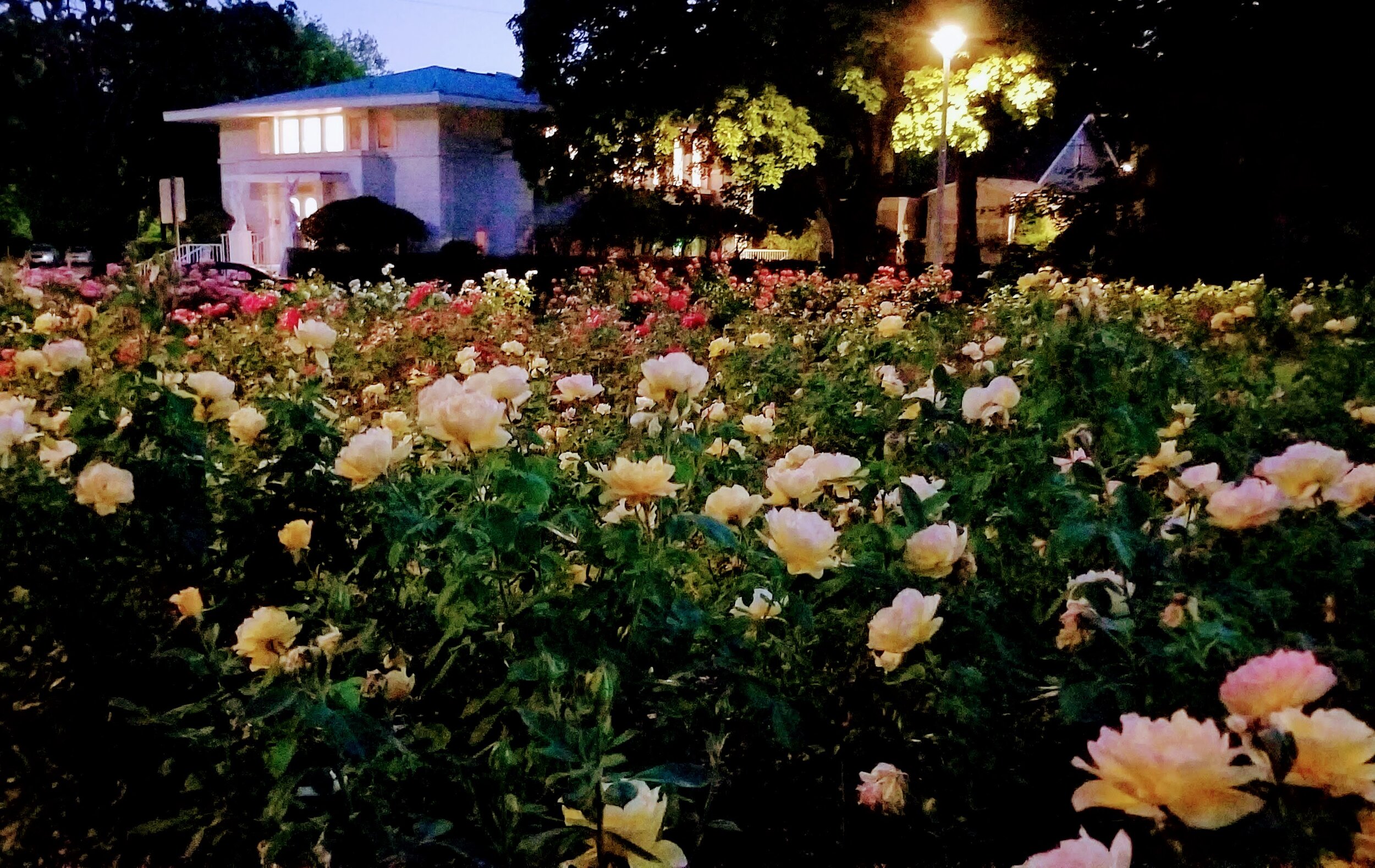 Ladd Circle Park & Rose Gardens