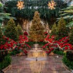 Longwood Gardens Christmas Lights