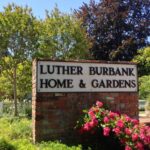 Luther Burbank Home And Gardens Santa Rosa