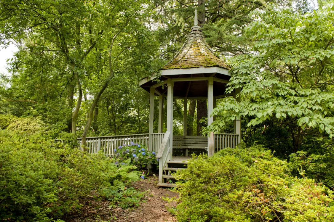 Mccrillis Gardens in Bethesda