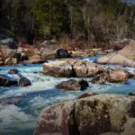 Millstream Gardens Conservation Area
