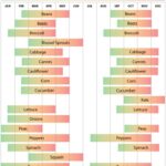 Month-By-Month Gardening in Georgia