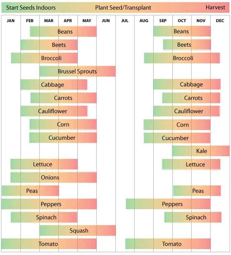Month-By-Month Gardening in Georgia