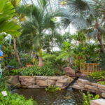 Nicholas Conservatory And Gardens Rockford