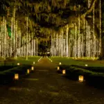 Night of 1000 Candles Brookgreen Gardens Tickets 2024