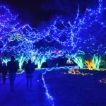 Norfolk Botanical Gardens Christmas Lights