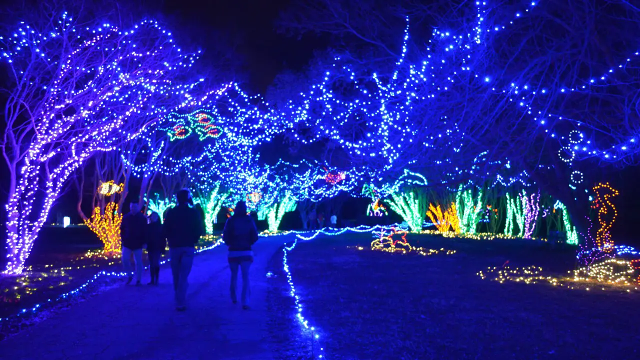 Norfolk Botanical Gardens Christmas Lights
