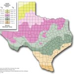 Organic Gardening Season Texas