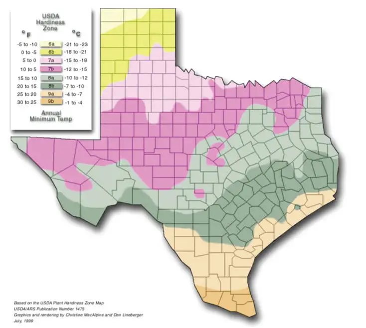 Organic Gardening Season Texas