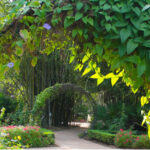 Port Saint Lucie Botanical Gardens