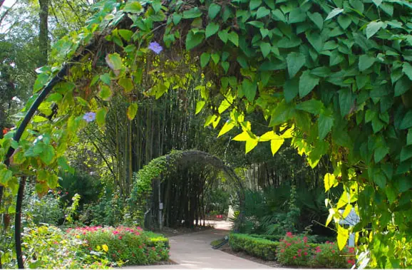 Port Saint Lucie Botanical Gardens