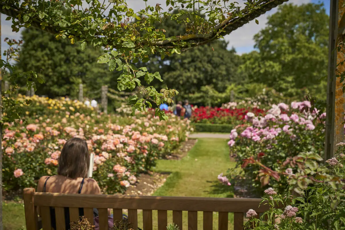 Queen Mary'S Rose Gardens London