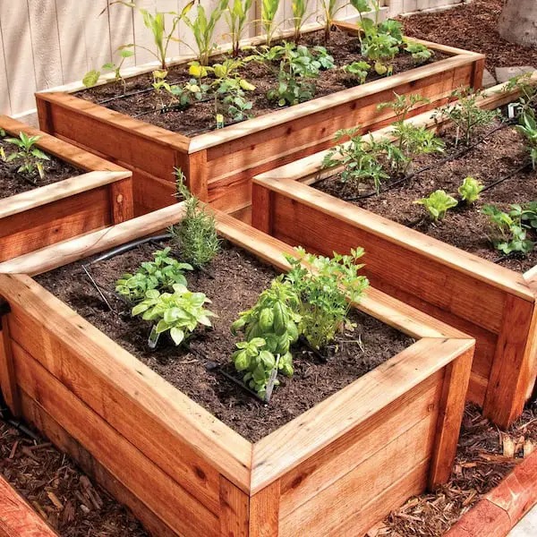 Raised Bed Gardening Watering System