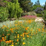 San Luis Obispo Botanical Gardens