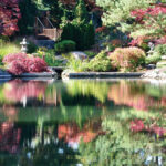 Schedel Arboretum And Gardens