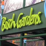 Stabbing Busch Gardens Williamsburg
