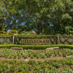 Steeplechase Palm Beach Gardens