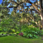 Sugar Mill Gardens Port Orange