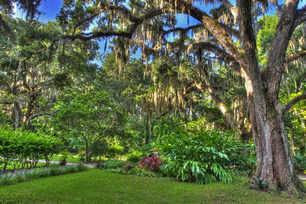 Sugar Mill Gardens Port Orange