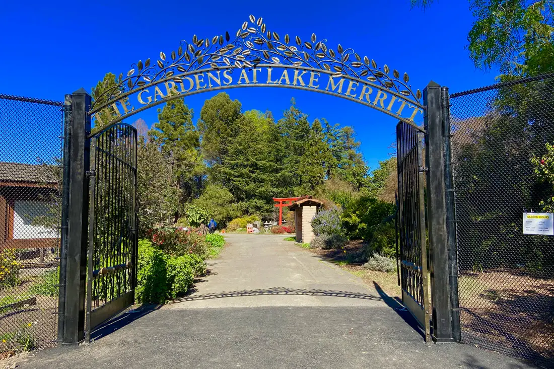 The Gardens at Lake Merritt