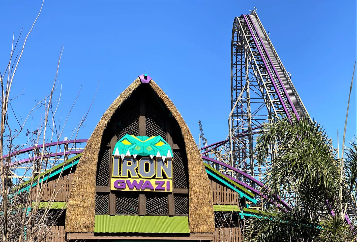 Things to Do near Busch Gardens Tampa Fl