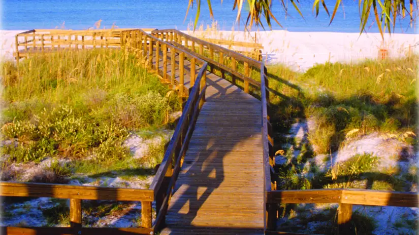 Tiki Gardens Indian Shores Beach Access Indian Shores Fl