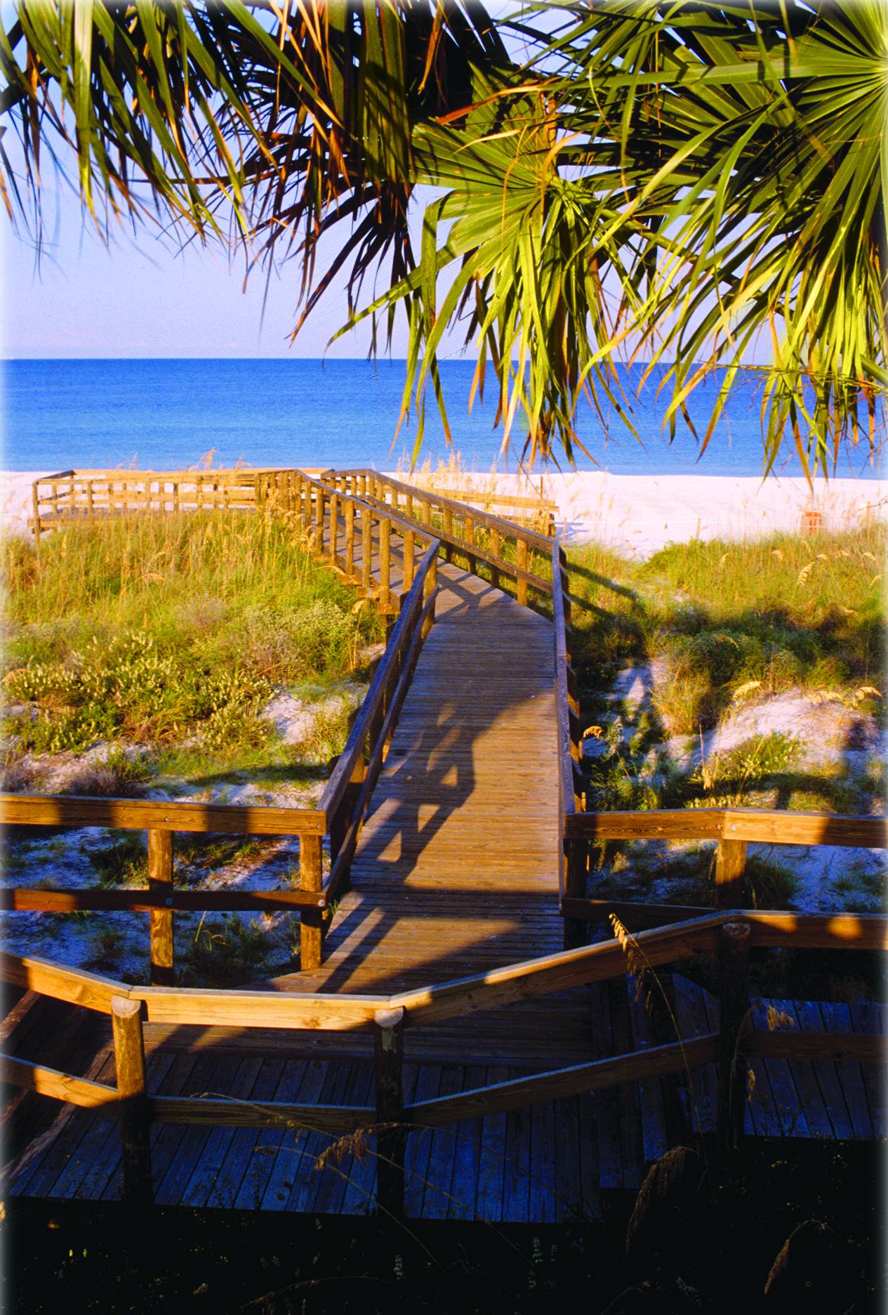 Tiki Gardens Indian Shores Beach Access