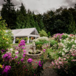 Twin Willow Gardens - by Appointment Only