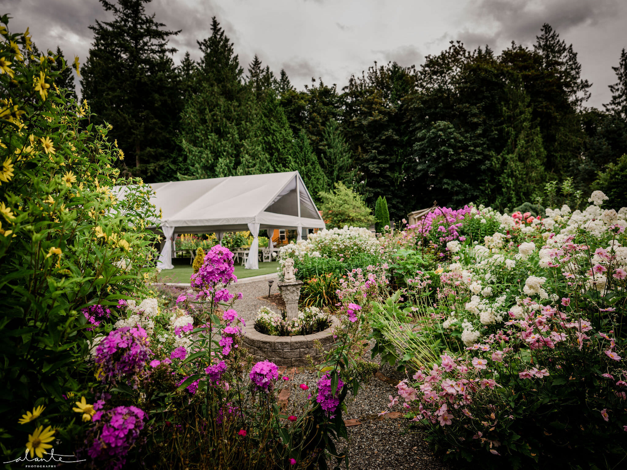 Twin Willow Gardens - by Appointment Only
